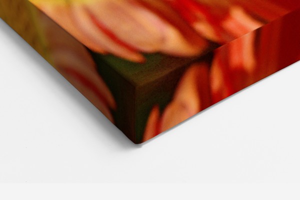 Perhonen vaaleanpunaisella kukalla Canvas-tulostus - seinällä huoneessa