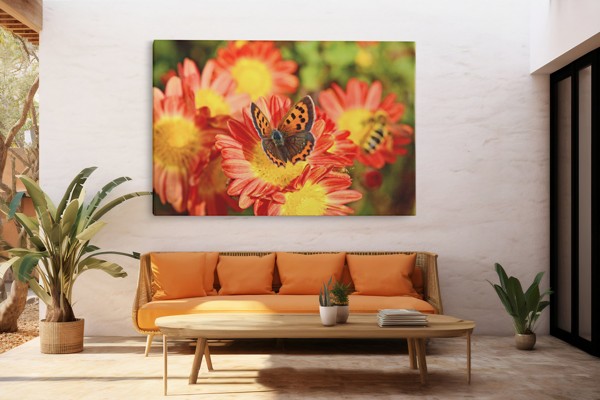 Perhonen vaaleanpunaisella kukalla Canvas-tulostus - seinällä huoneessa
