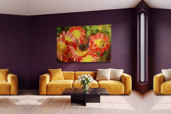 Perhonen vaaleanpunaisella kukalla Canvas-tulostus - seinällä huoneessa