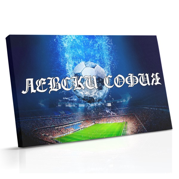 Levski Sofia futbolo drobinė - mėlyna ir balta klubo menas