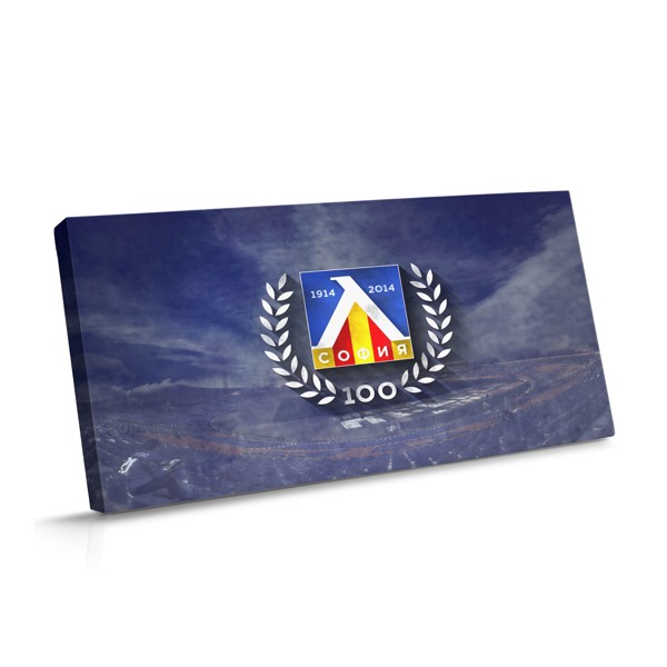 Impression sur Toile Stade Levski Sofia - Bleu et Blanc
