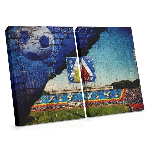 Stampa su Tela Stadio Levski Sofia - Fan Art Blu e Bianco