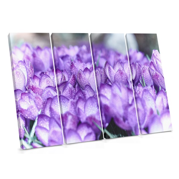 Stampa su Tela Bouquet di Crocus Viola