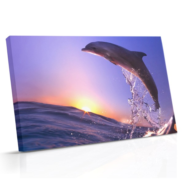 Delfin springt bei Sonnenaufgang Leinwanddruck