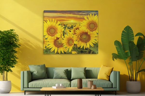 Stampa su Tela Girasoli in Fiore - alla parete in un interno