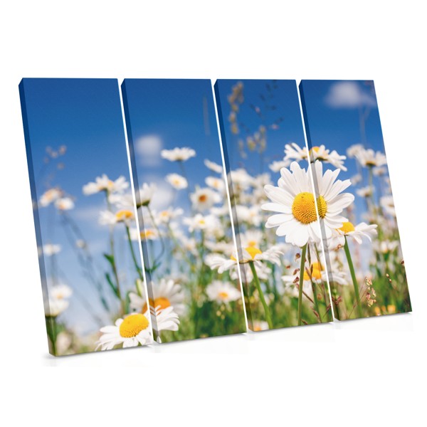 Lentebloemen Canvas Print met Madeliefjes