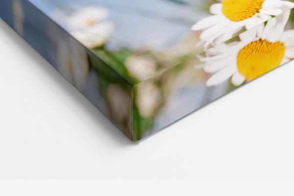 Jarní plátno s potiskem Daisy Field - na stěně v interiéru
