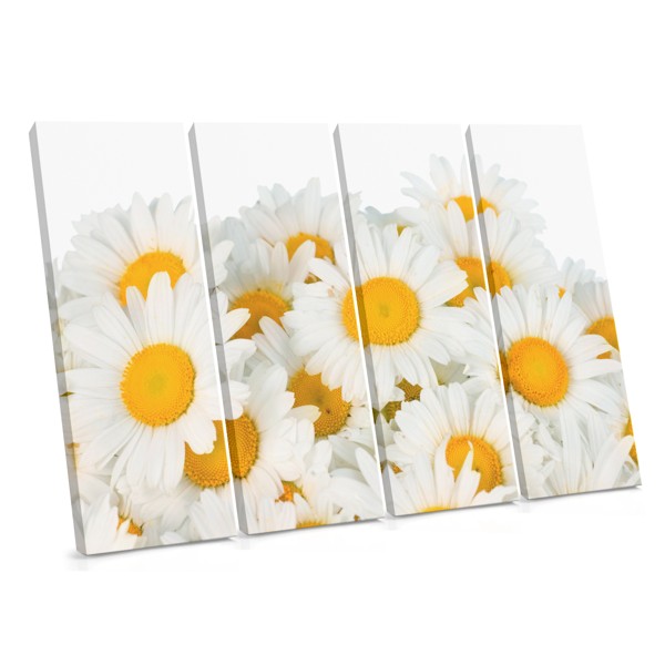 Tablou Canvas Buchet de Margarete Albe