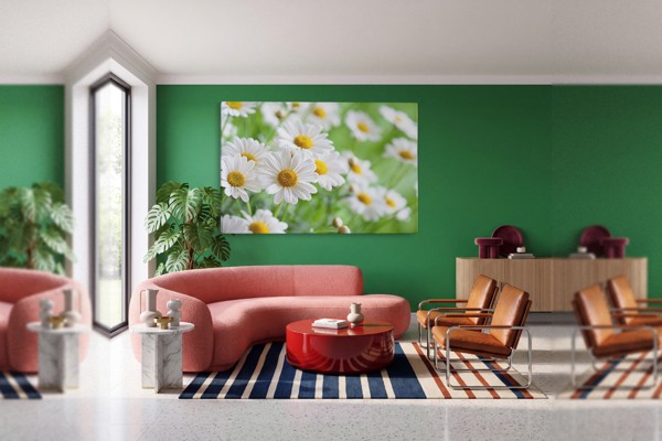 Vit tusensköna på mjuk grön canvas - på väggen i ett rum