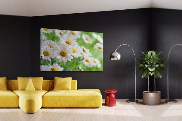 Vit tusensköna på mjuk grön canvas - på väggen i ett rum