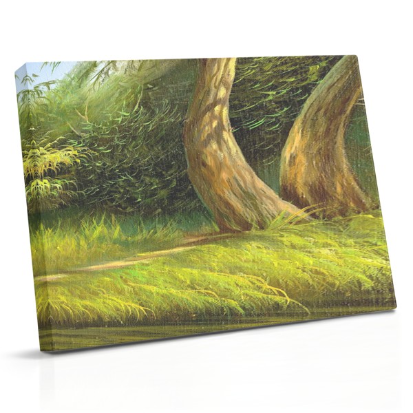 Arbre Solitaire au Bord du Lac Toile
