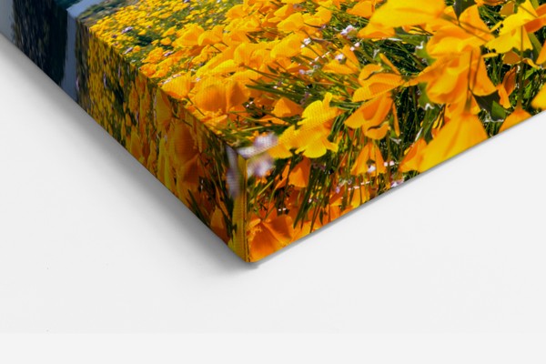 Looduslike lilledega väljapilt kaljusel Canvas Print - seinal toas