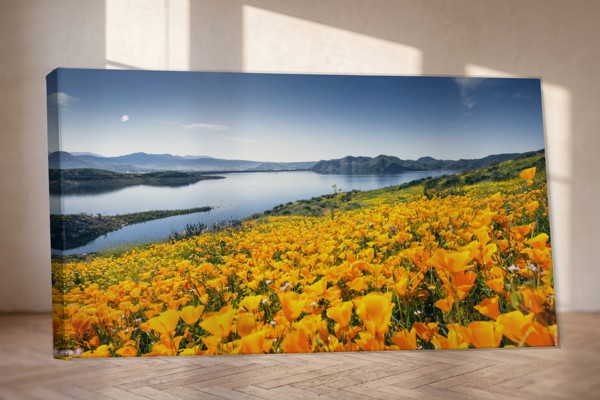 Looduslike lilledega väljapilt kaljusel Canvas Print - seinal toas