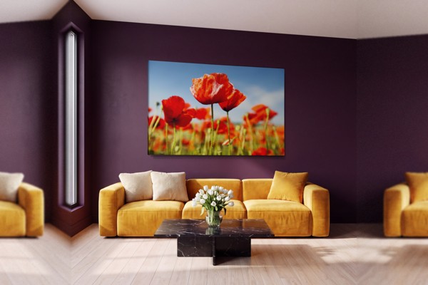 Coquelicots Rouges en Fleur - Toile Imprimée - au mur dans un intérieur