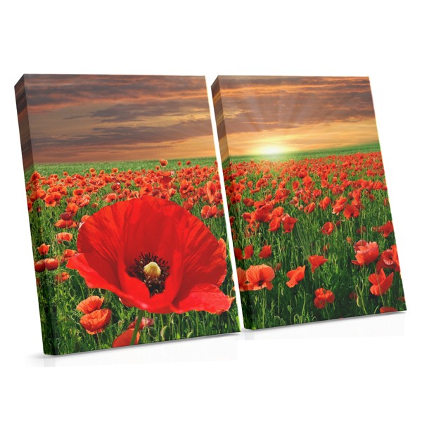 Poppy Field at Sunrise Canvas Print