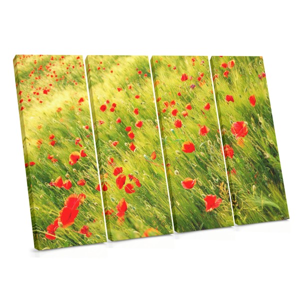 Red Poppy Field Canvas Print