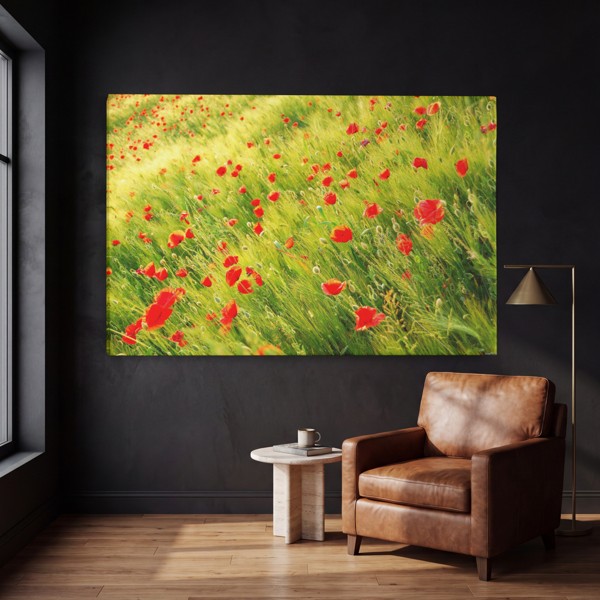 Rød ValmuemarkCanvas Print - på væggen i et interiør