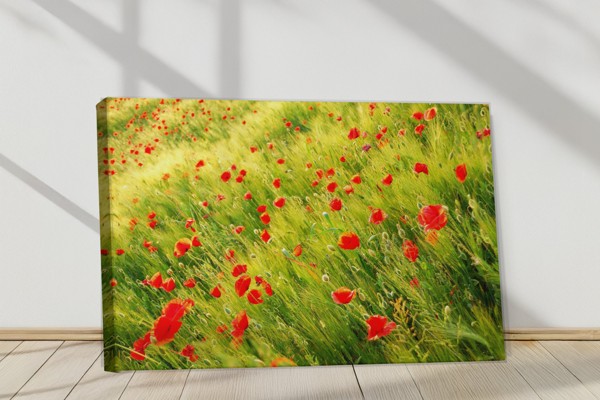 Rød ValmuemarkCanvas Print - på væggen i et interiør