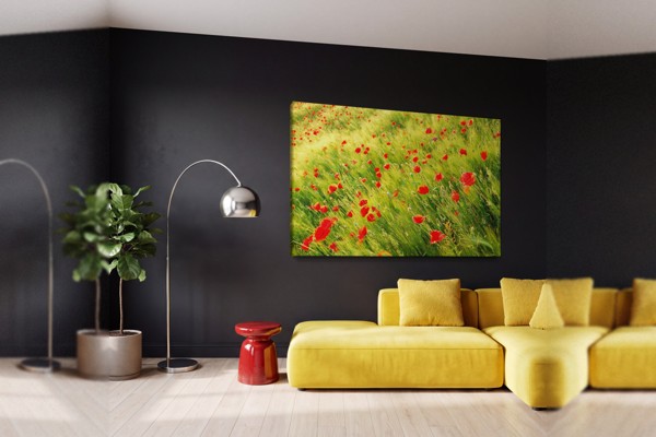 Rød ValmuemarkCanvas Print - på væggen i et interiør
