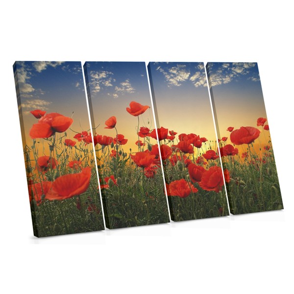 Poppy Field at Sunset Canvas Print