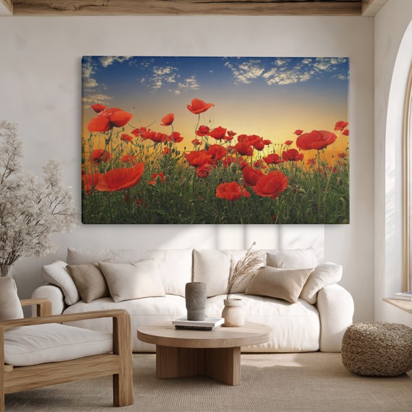 Tableau Toile Champ de Coquelicots au Coucher - au mur dans un intérieur