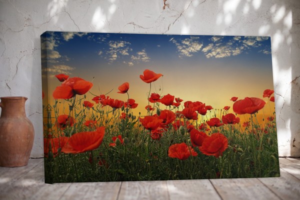 Tableau Toile Champ de Coquelicots au Coucher - au mur dans un intérieur