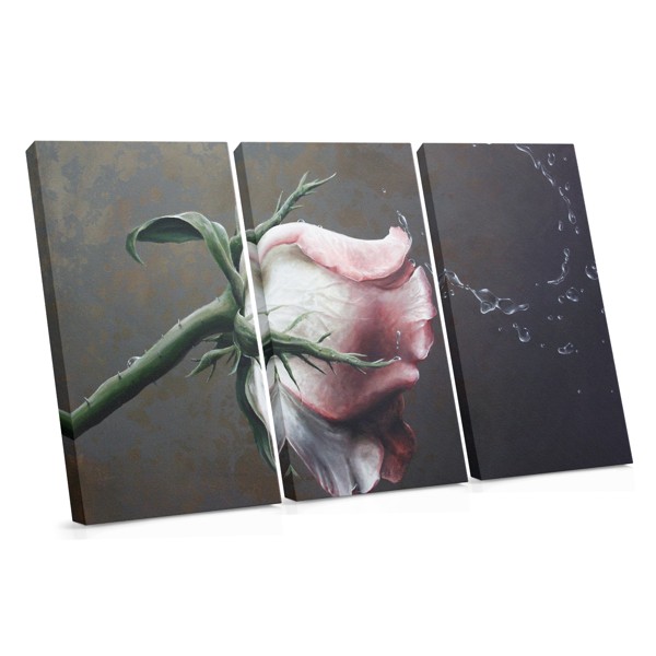 Soft Pink Rose on Dark Background Canvas Print
