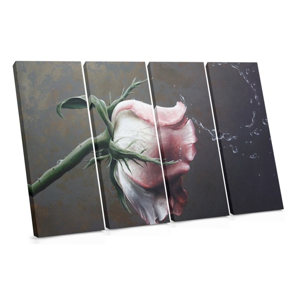 Soft Pink Rose on Dark Background Canvas Print