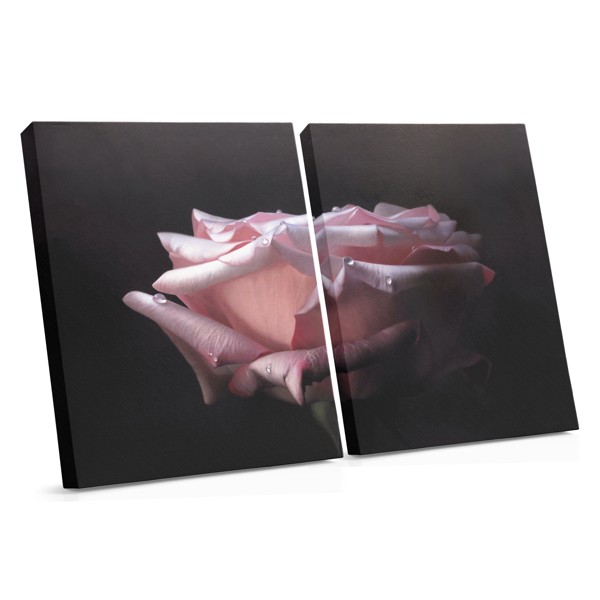 Stampa su Tela Rosa Soft in Primo Piano