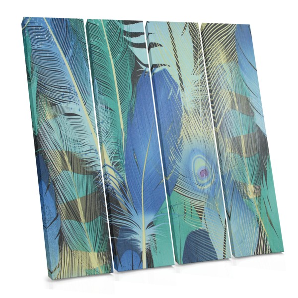 Soft Feather Study Canvas Print
